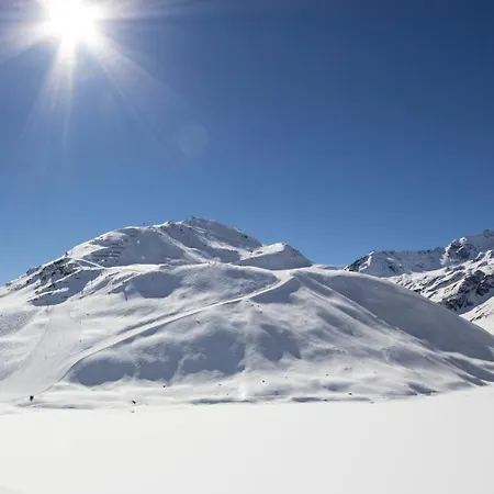 Apartament Alpenliebe Pitztal *